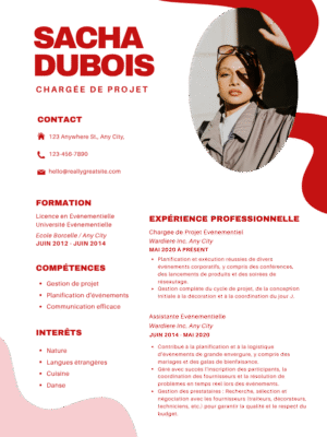 Professional CV  Template