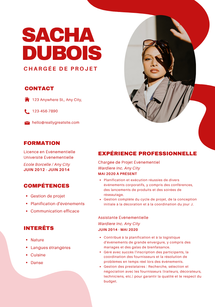 Professional CV Template