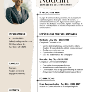 cv templates BD