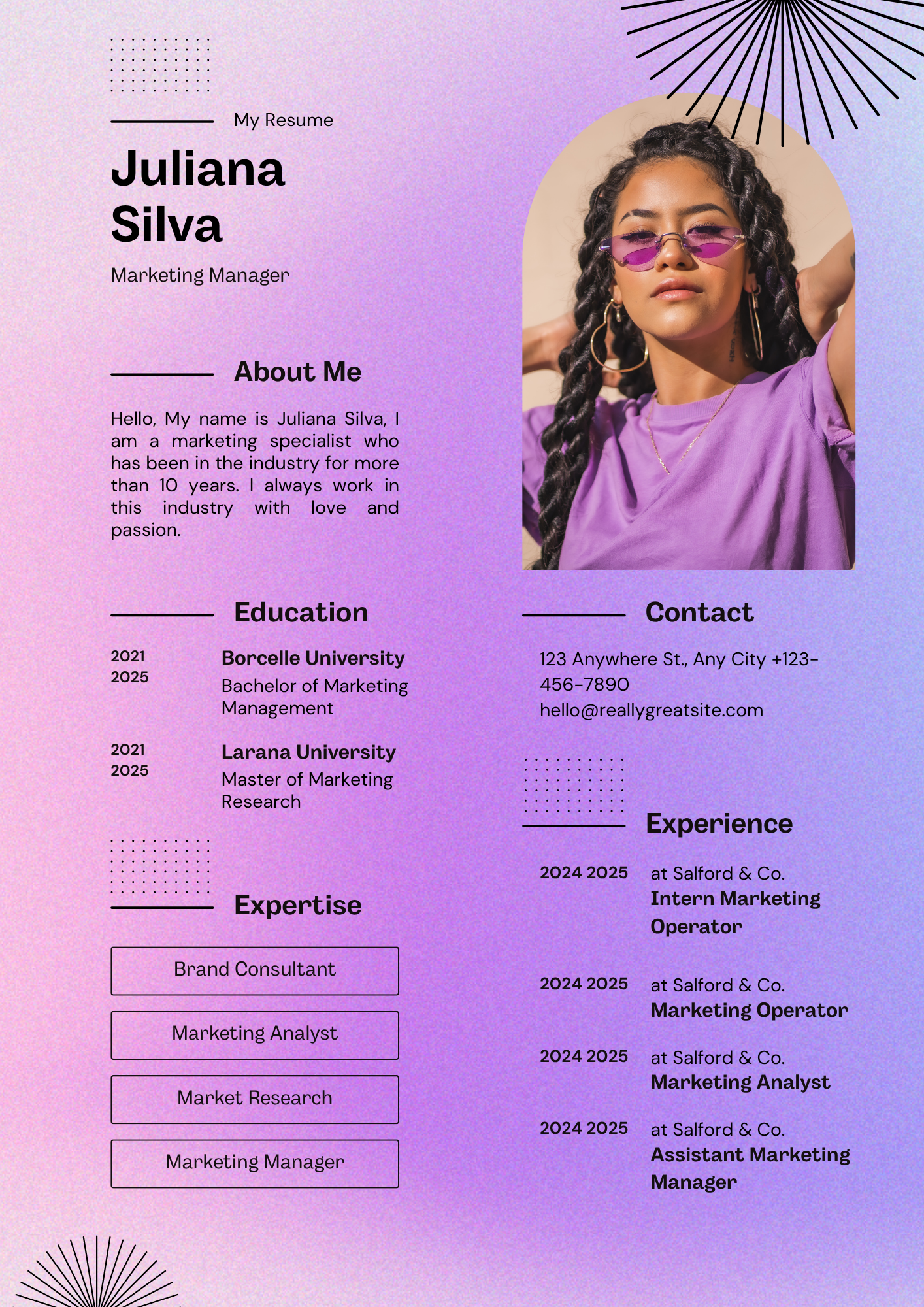 Professional Resume BNB