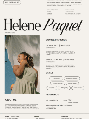 Professional CV  Template FE