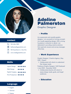 Professional CV  Template BE