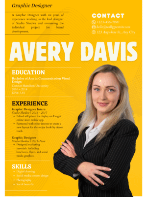 Professional CV  Template HILL