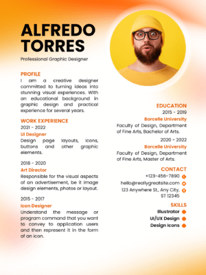 Professional CV  Template WX