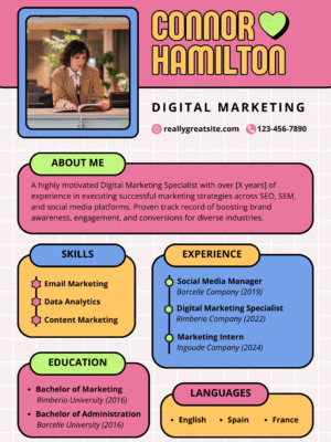 Professional CV  Template AQ