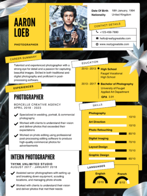 Professional Resume SL